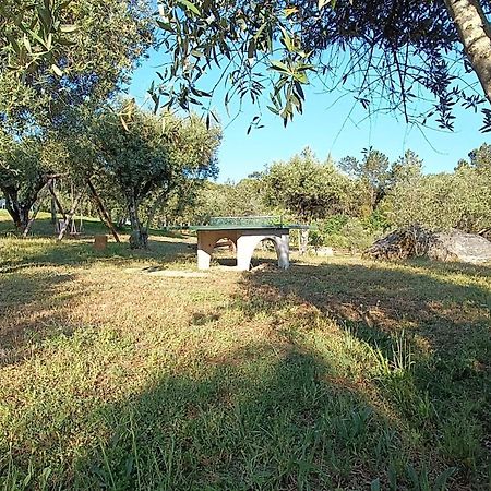 Quinta Da Pedra Mija Guest House Santar Eksteriør bilde