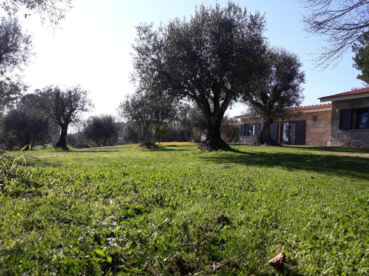 Quinta Da Pedra Mija Guest House Santar Eksteriør bilde