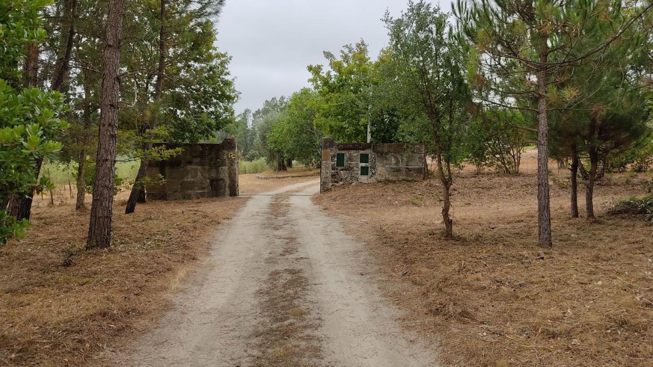 Quinta Da Pedra Mija Guest House Santar Eksteriør bilde