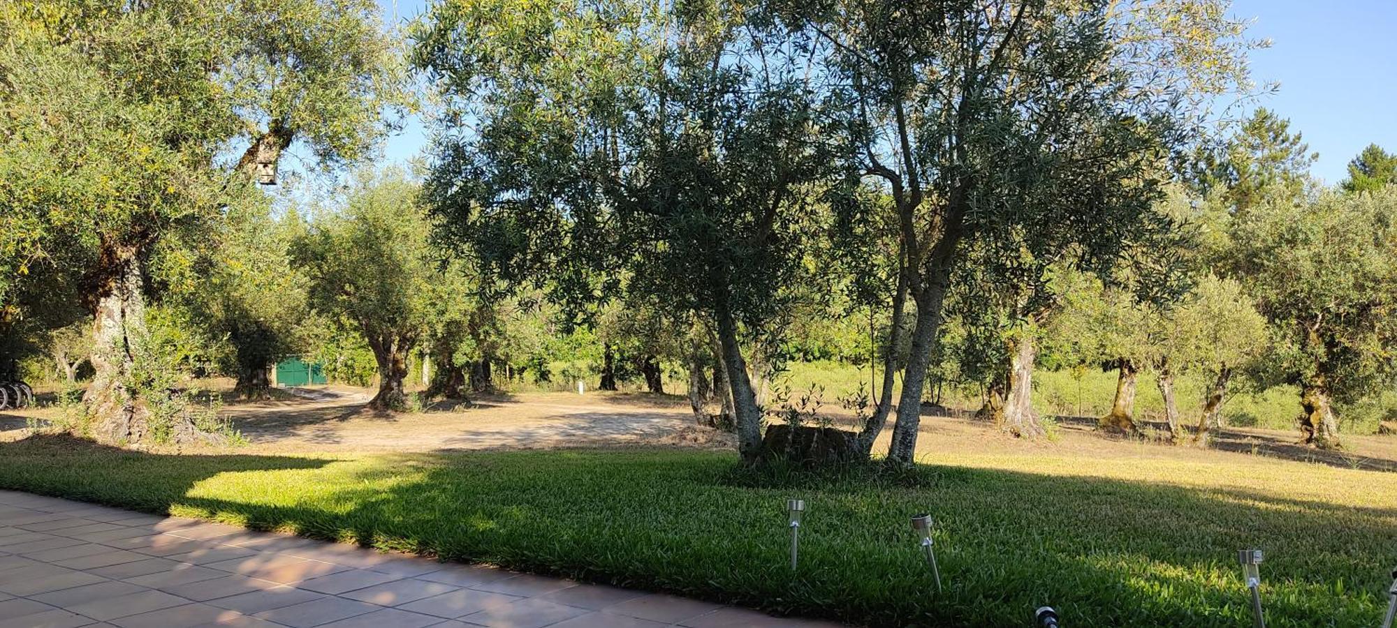 Quinta Da Pedra Mija Guest House Santar Eksteriør bilde