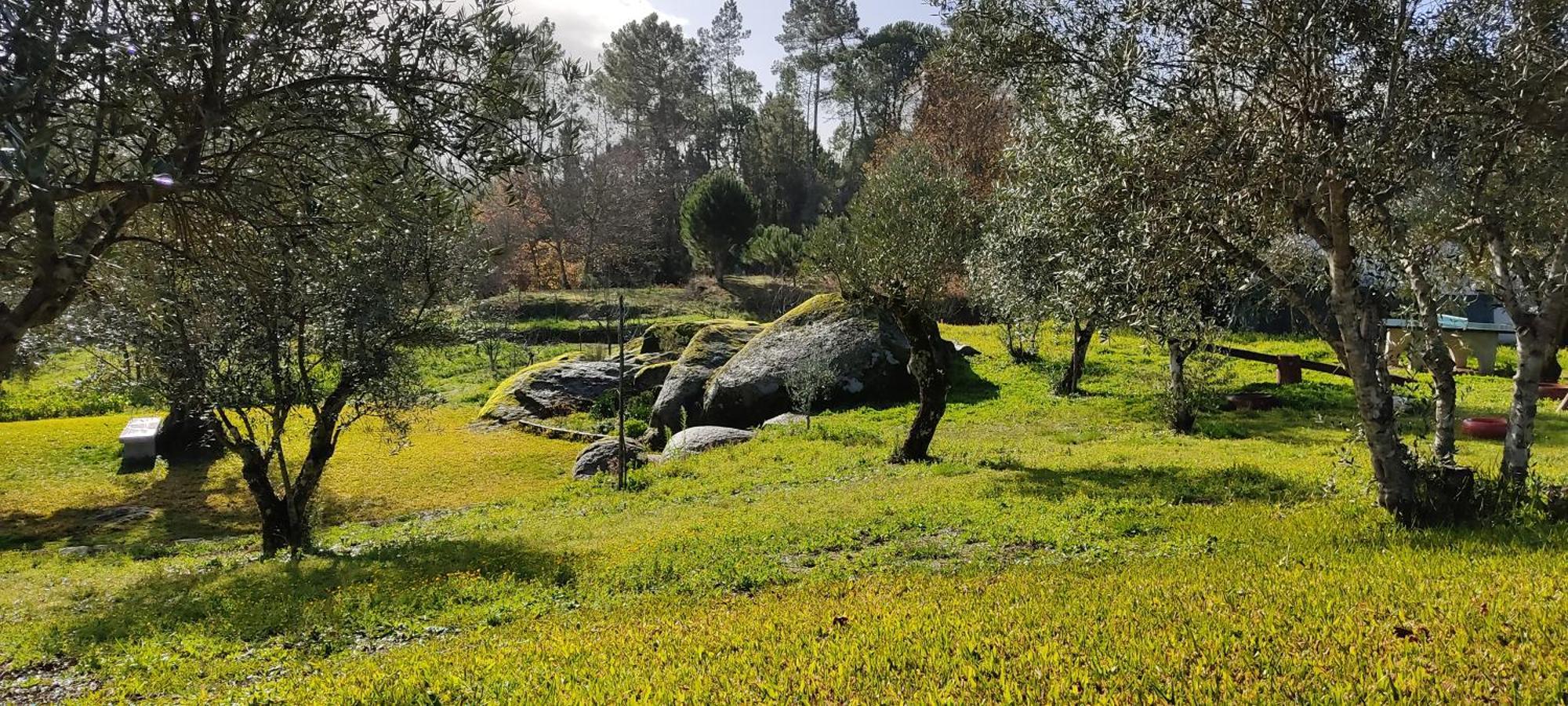Quinta Da Pedra Mija Guest House Santar Eksteriør bilde