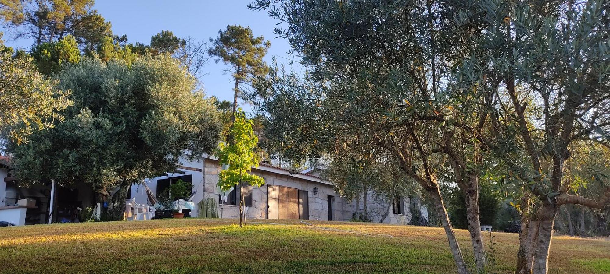 Quinta Da Pedra Mija Guest House Santar Eksteriør bilde