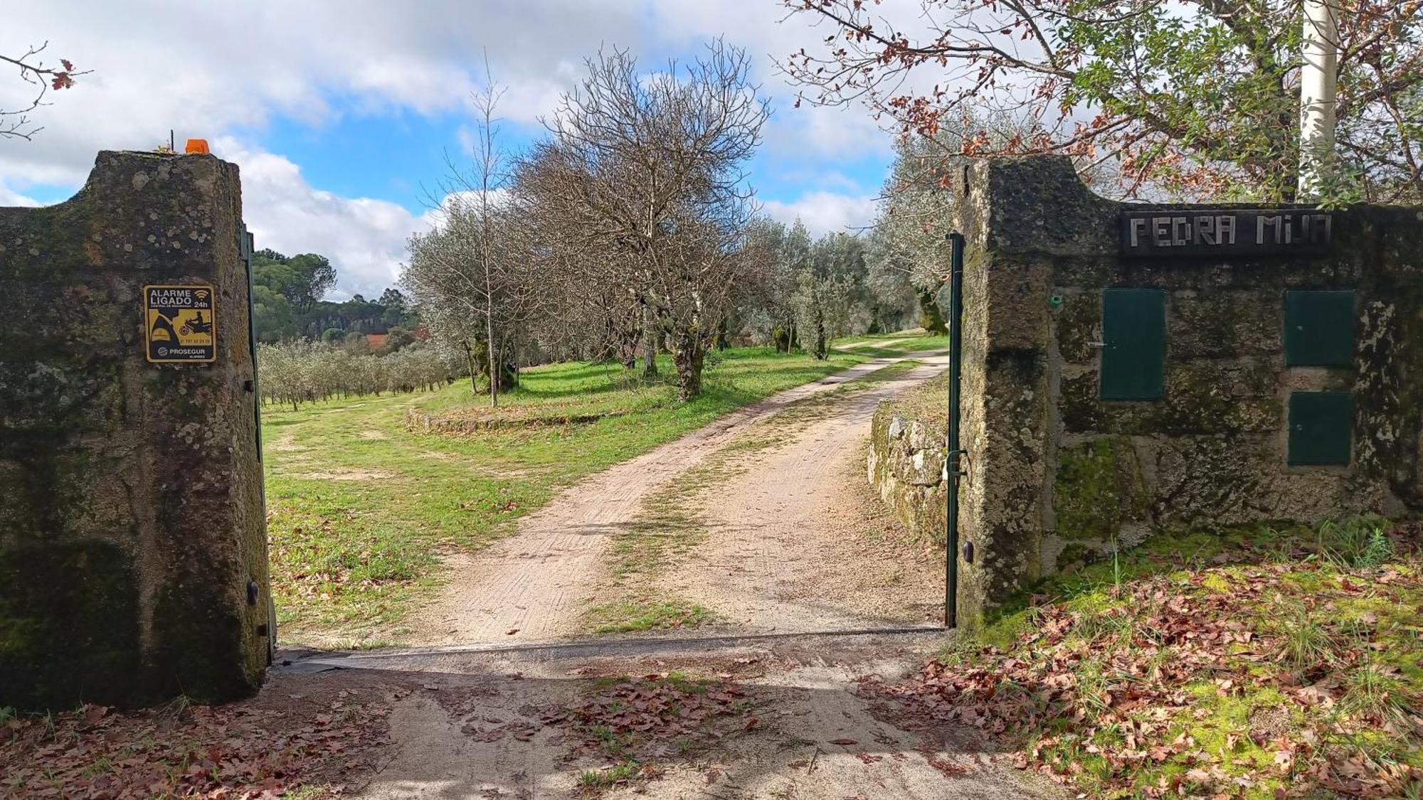 Quinta Da Pedra Mija Guest House Santar Eksteriør bilde