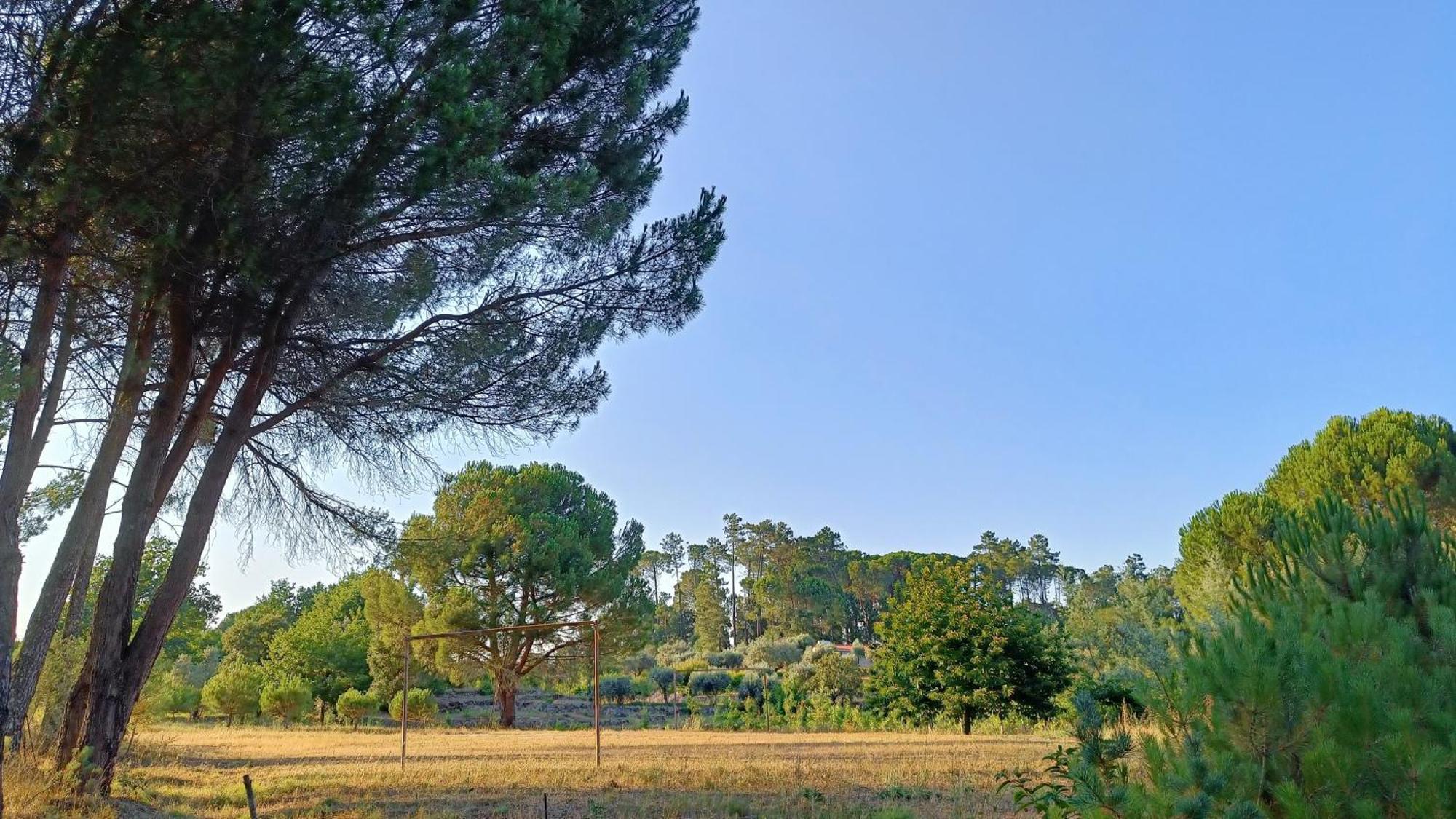 Quinta Da Pedra Mija Guest House Santar Eksteriør bilde