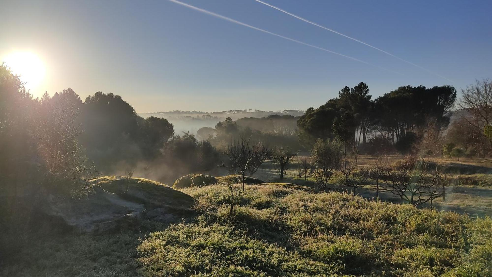 Quinta Da Pedra Mija Guest House Santar Eksteriør bilde