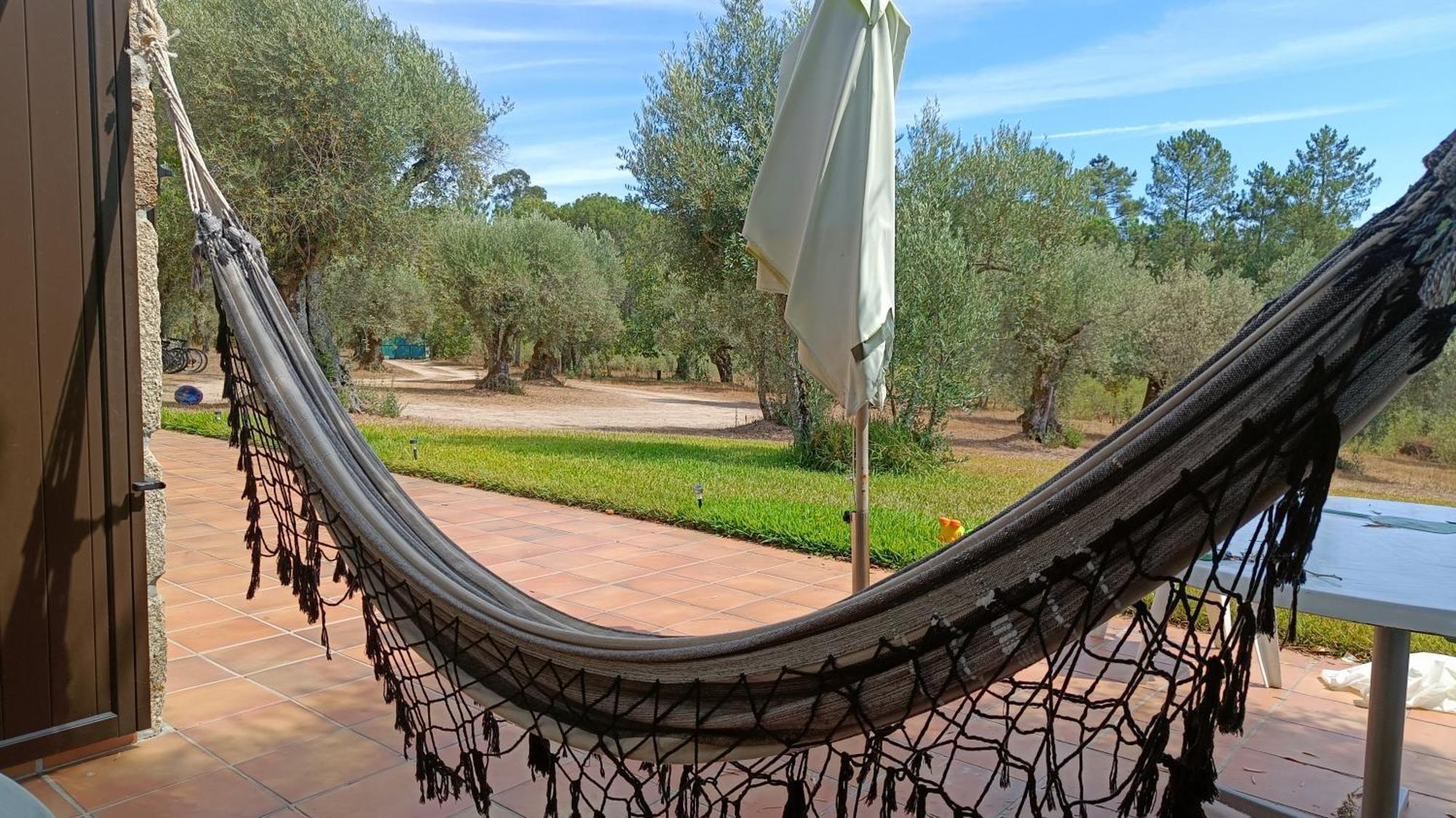 Quinta Da Pedra Mija Guest House Santar Eksteriør bilde