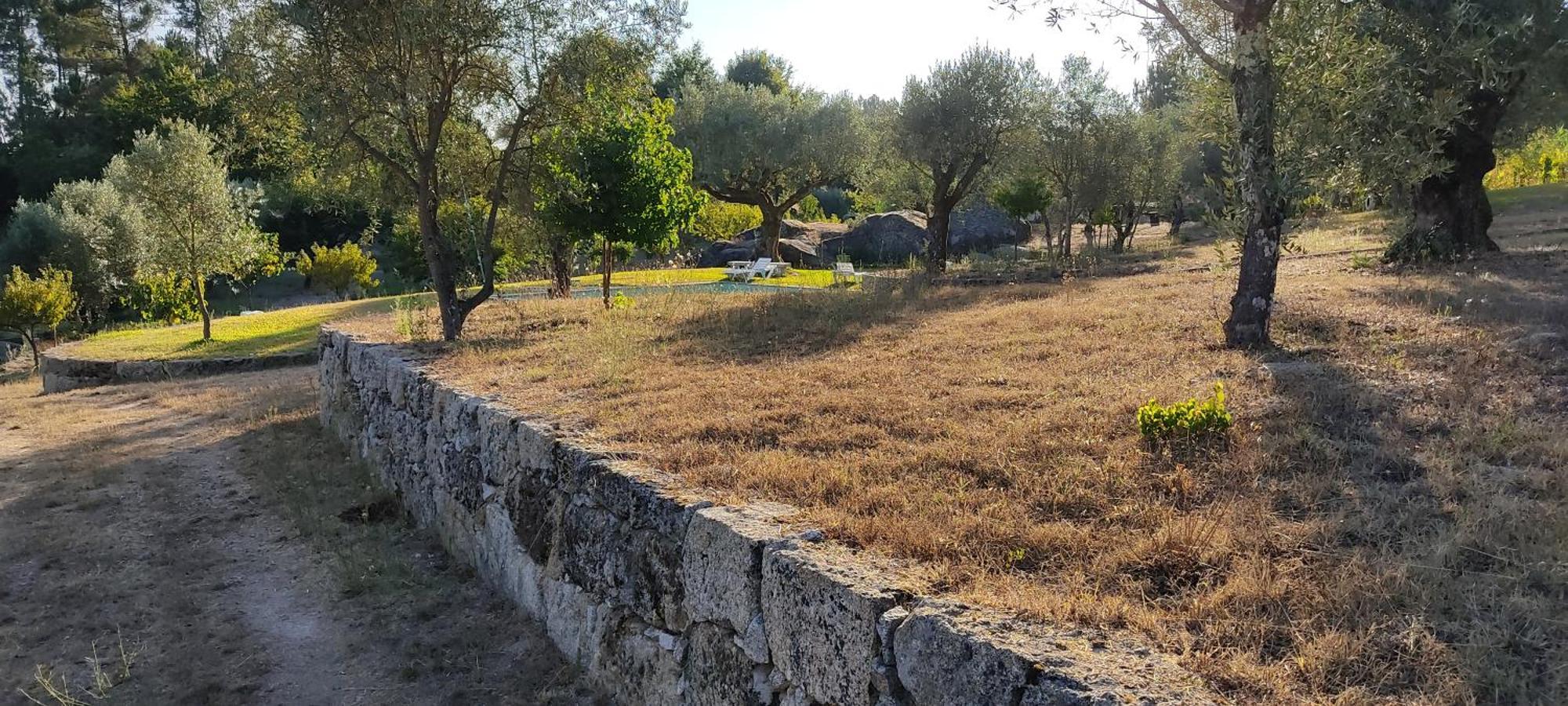 Quinta Da Pedra Mija Guest House Santar Eksteriør bilde