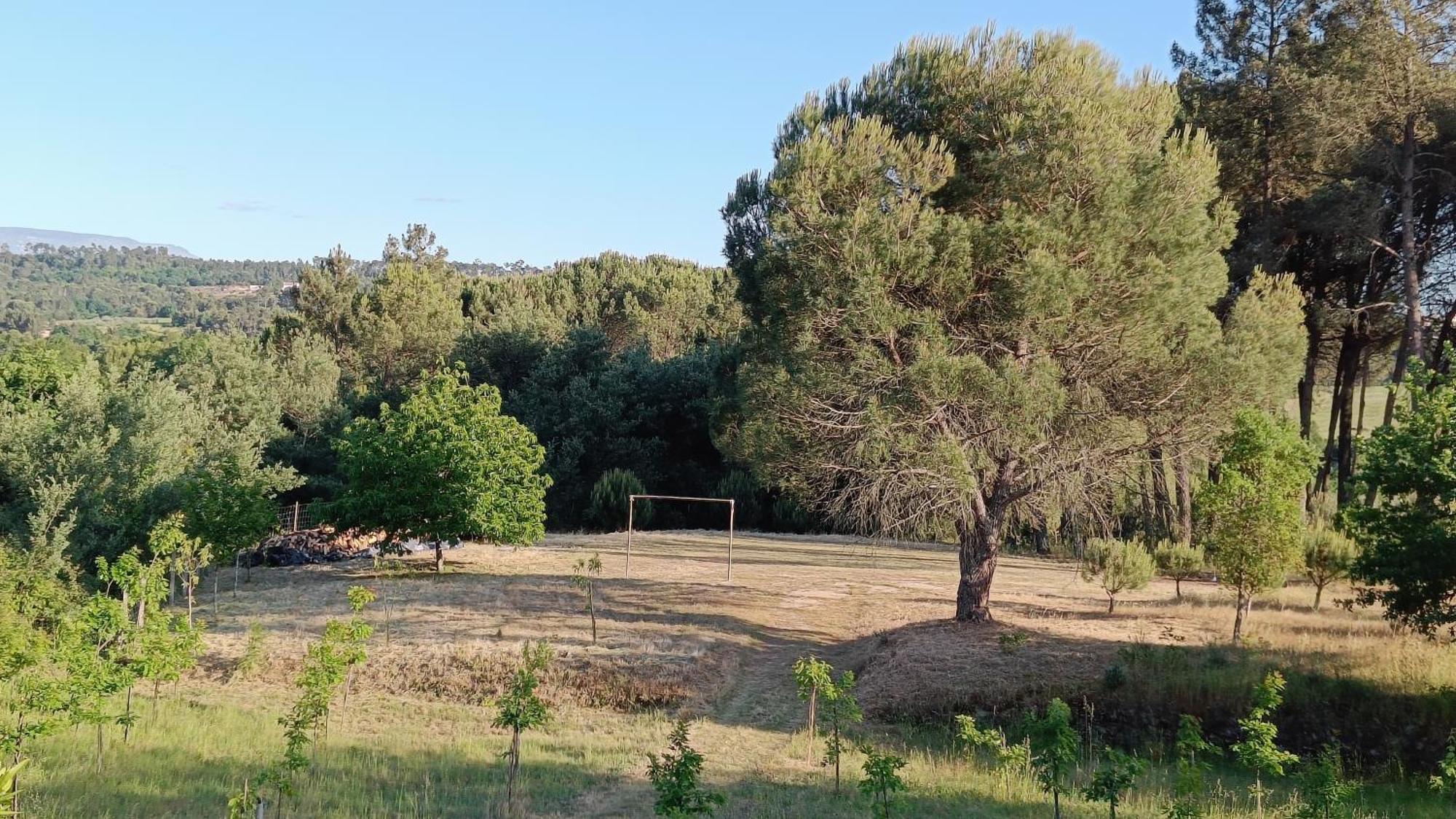Quinta Da Pedra Mija Guest House Santar Eksteriør bilde
