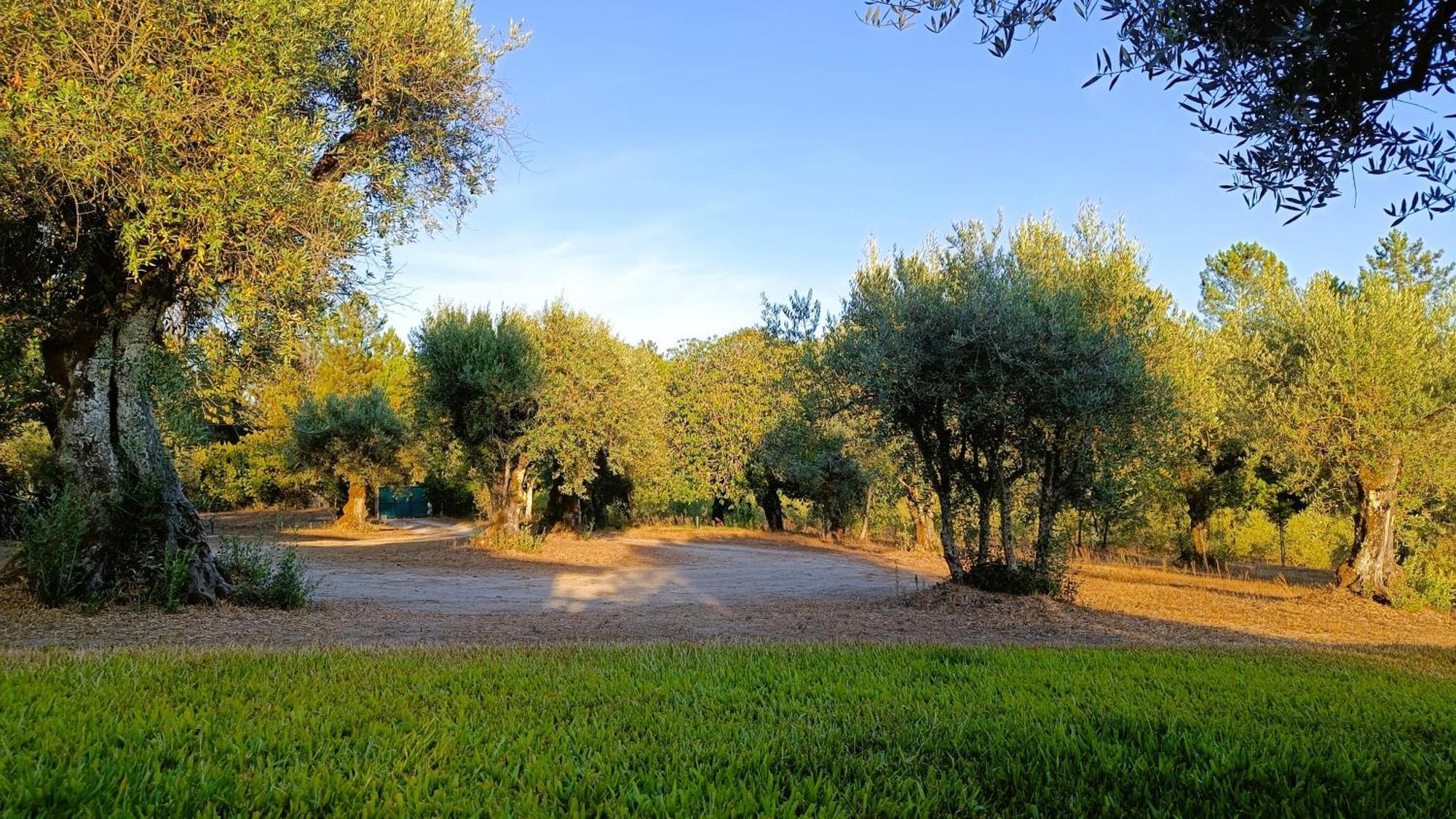 Quinta Da Pedra Mija Guest House Santar Eksteriør bilde