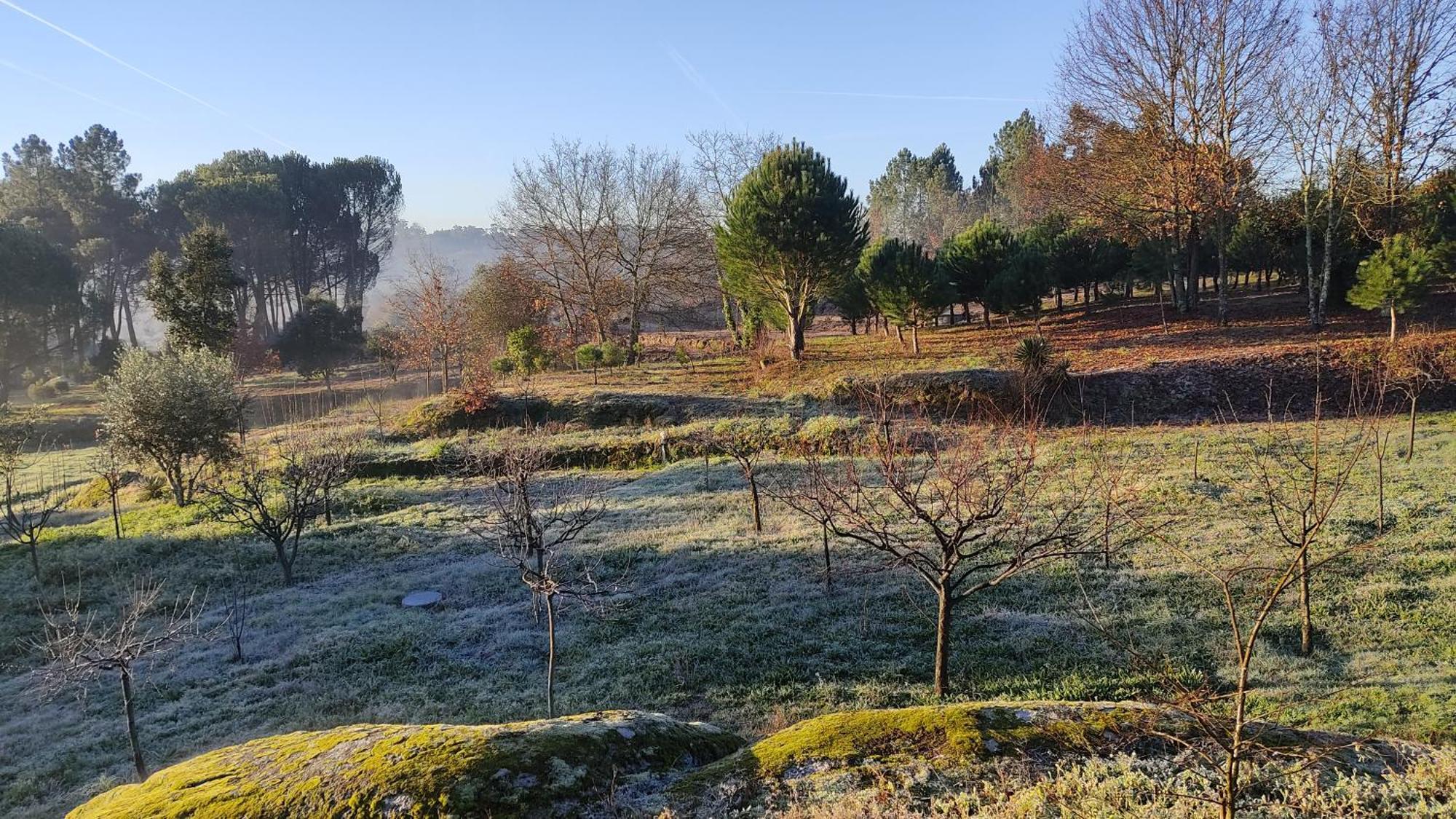 Quinta Da Pedra Mija Guest House Santar Eksteriør bilde