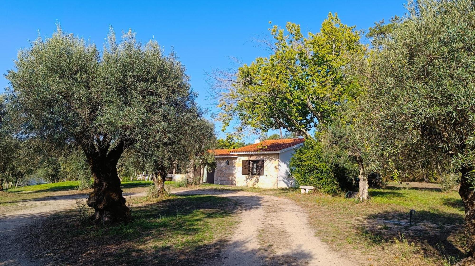 Quinta Da Pedra Mija Guest House Santar Eksteriør bilde