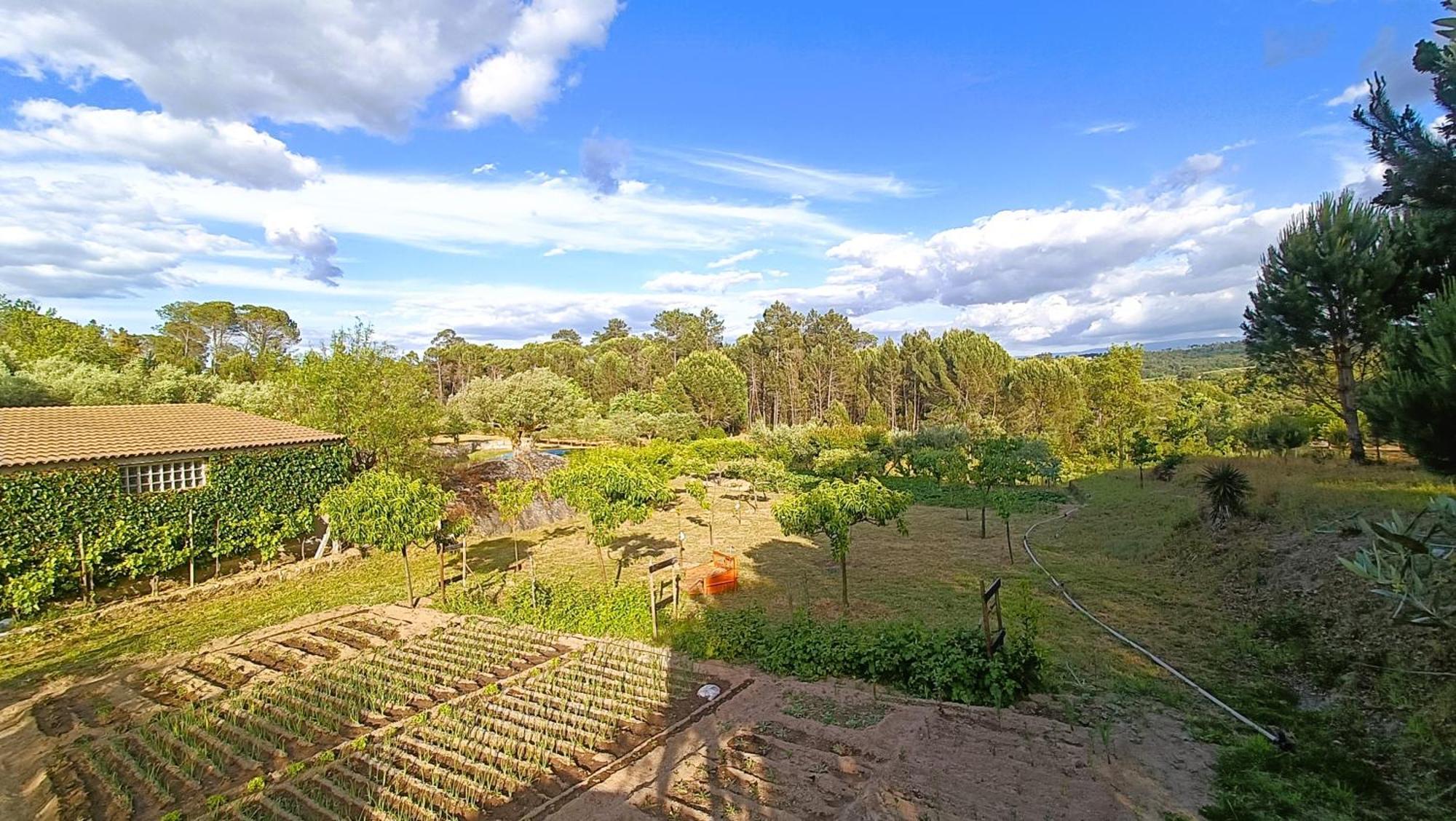 Quinta Da Pedra Mija Guest House Santar Eksteriør bilde