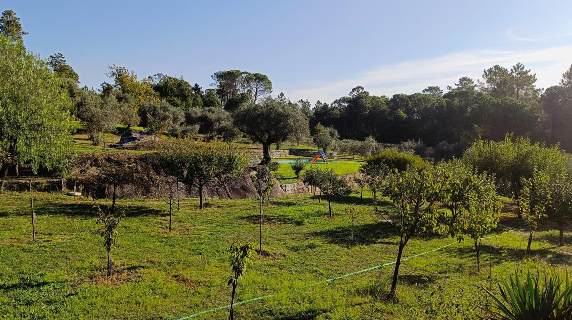 Quinta Da Pedra Mija Guest House Santar Eksteriør bilde