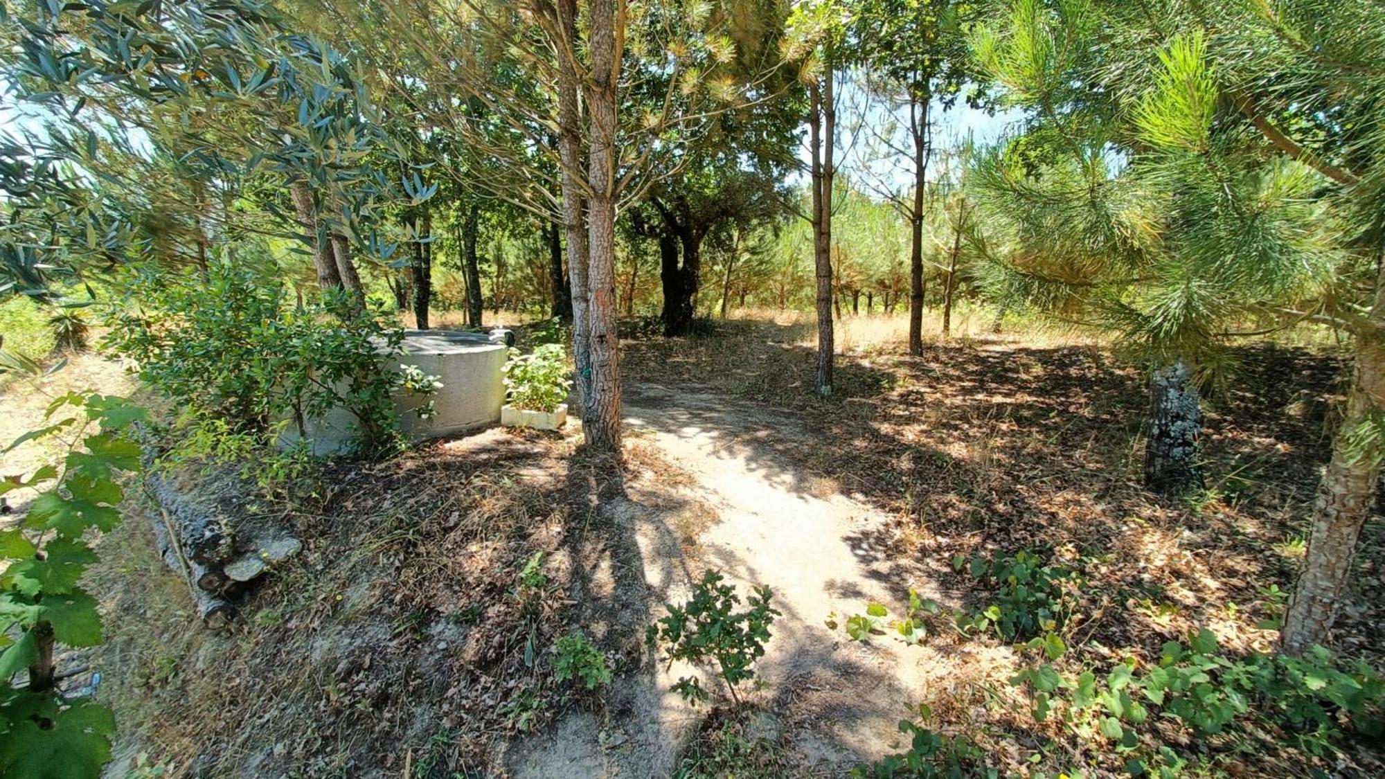 Quinta Da Pedra Mija Guest House Santar Eksteriør bilde