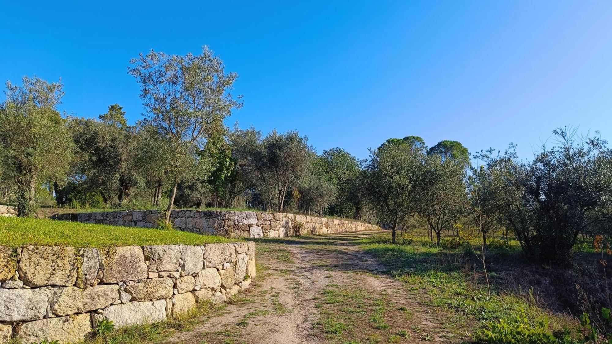 Quinta Da Pedra Mija Guest House Santar Eksteriør bilde