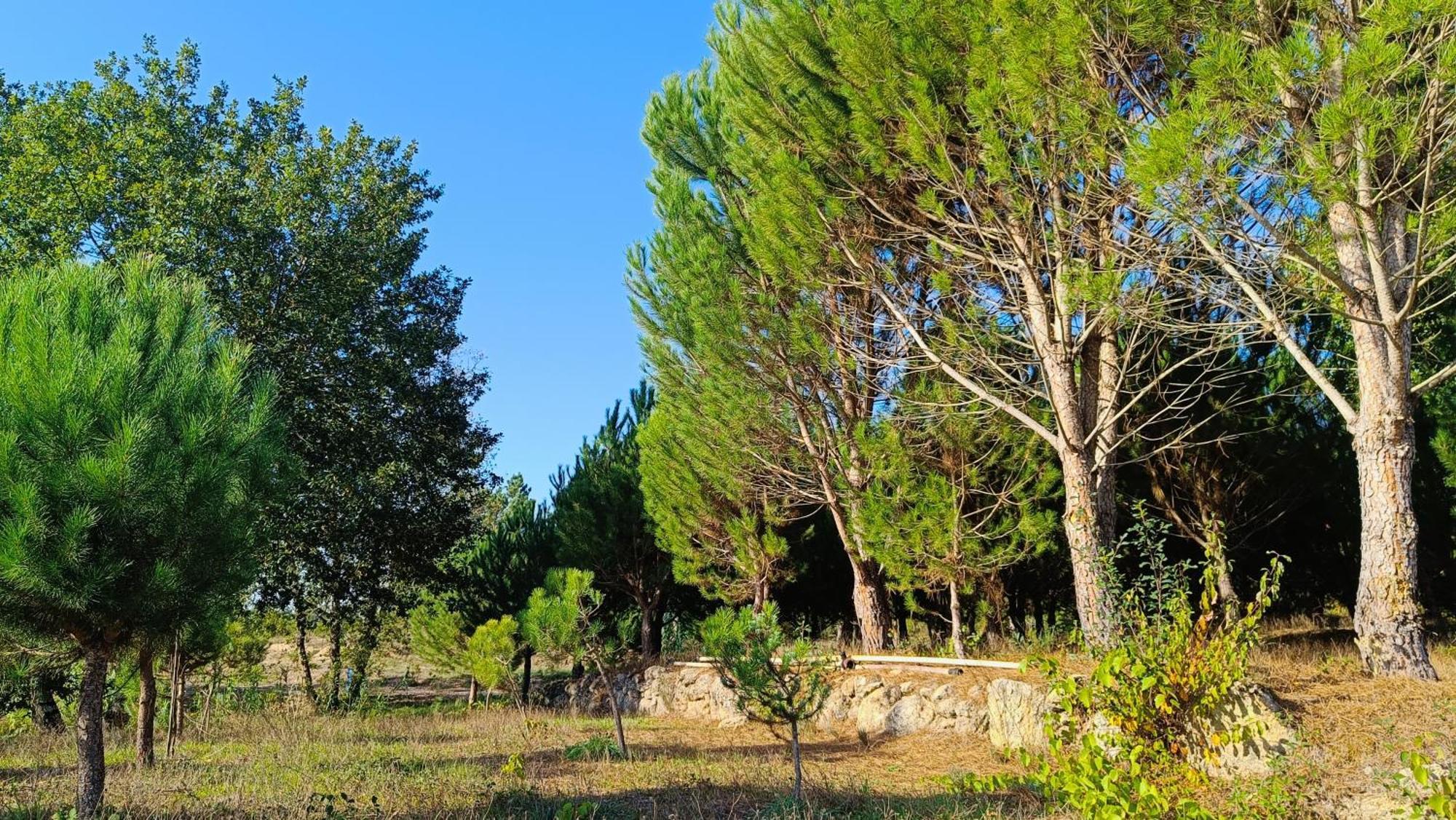 Quinta Da Pedra Mija Guest House Santar Eksteriør bilde