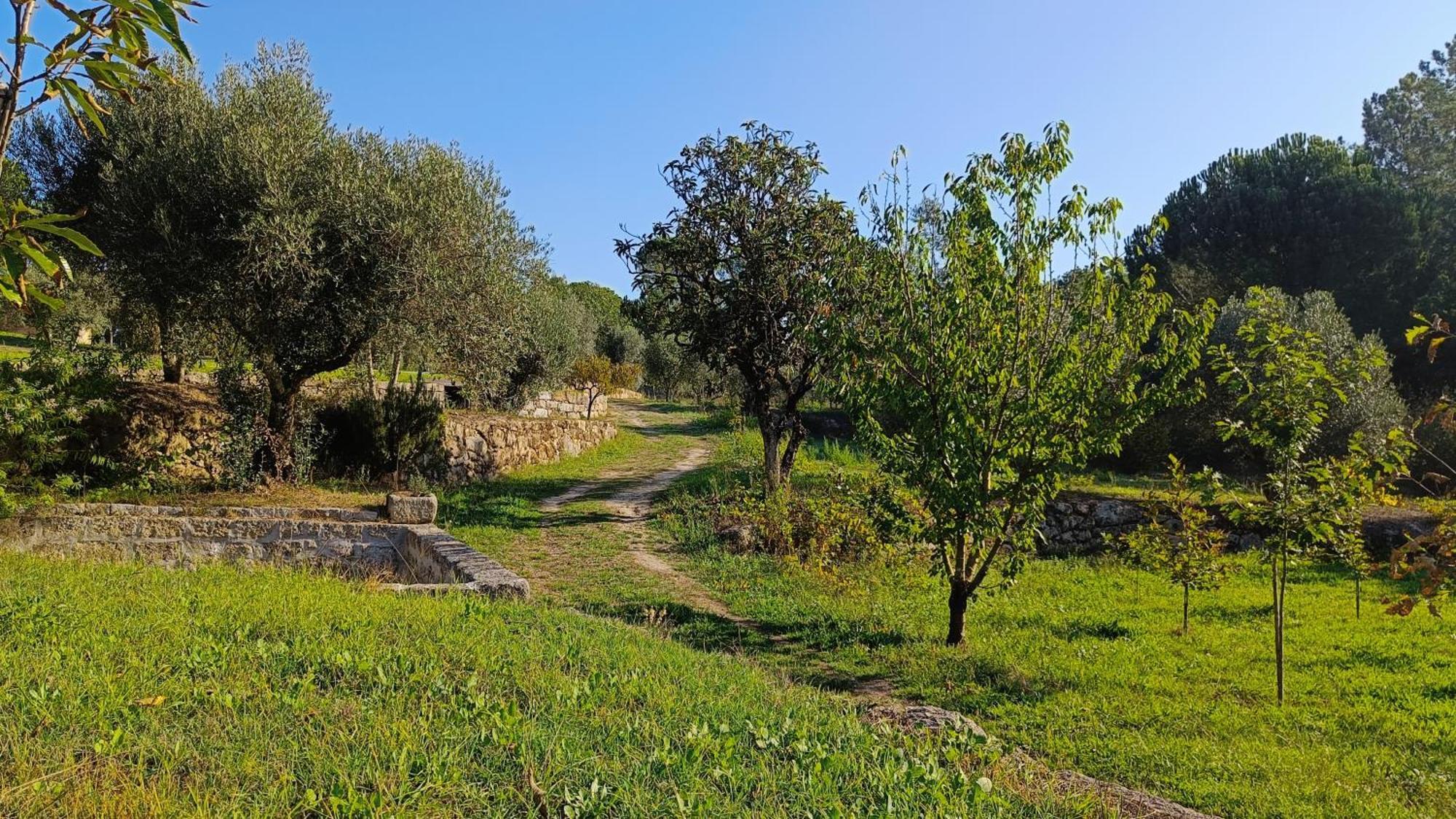 Quinta Da Pedra Mija Guest House Santar Eksteriør bilde