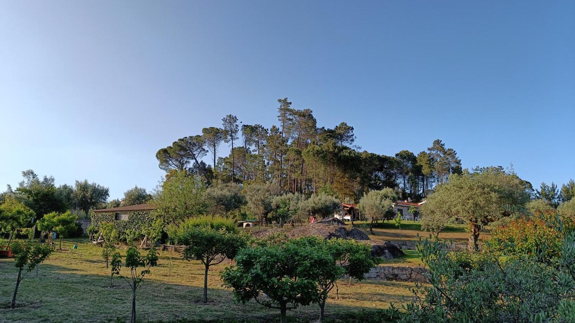 Quinta Da Pedra Mija Guest House Santar Eksteriør bilde