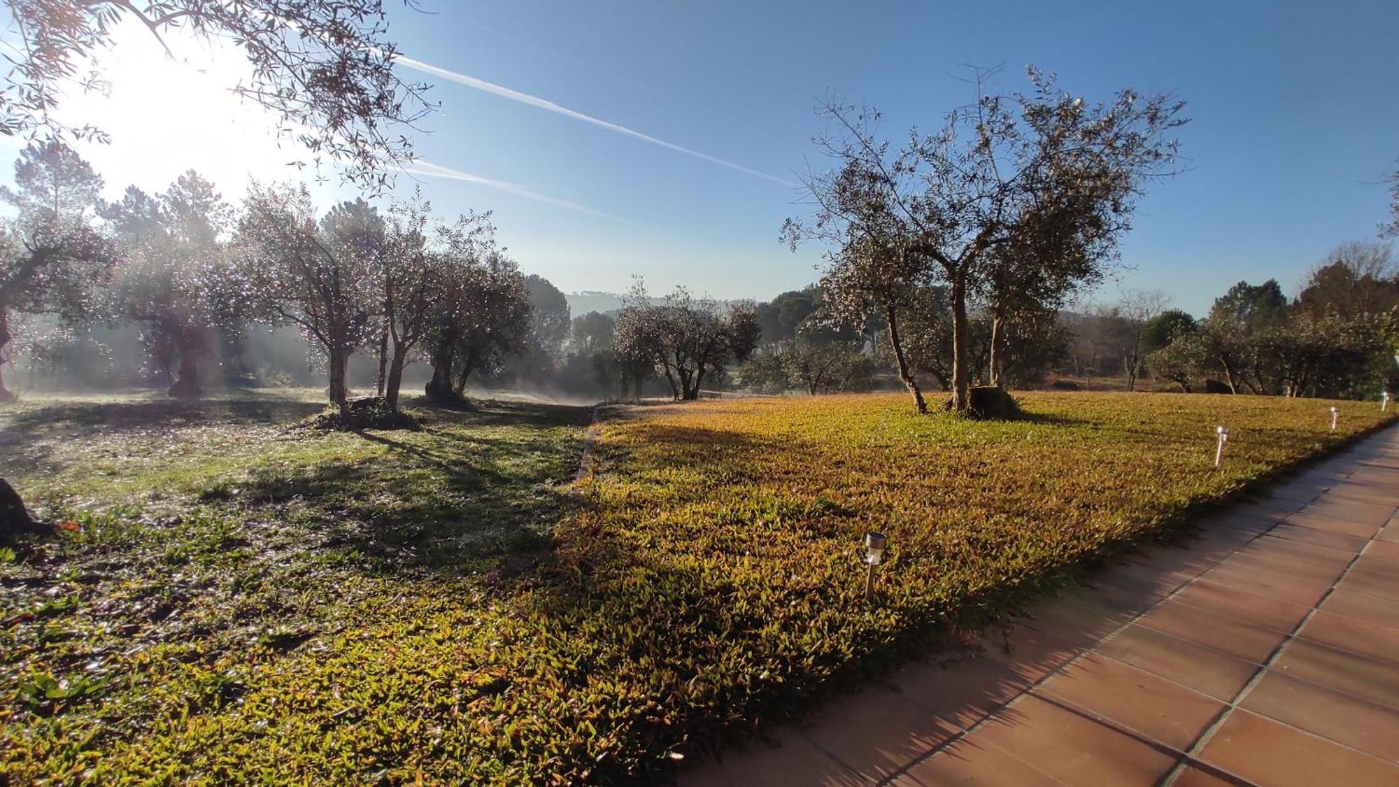 Quinta Da Pedra Mija Guest House Santar Eksteriør bilde