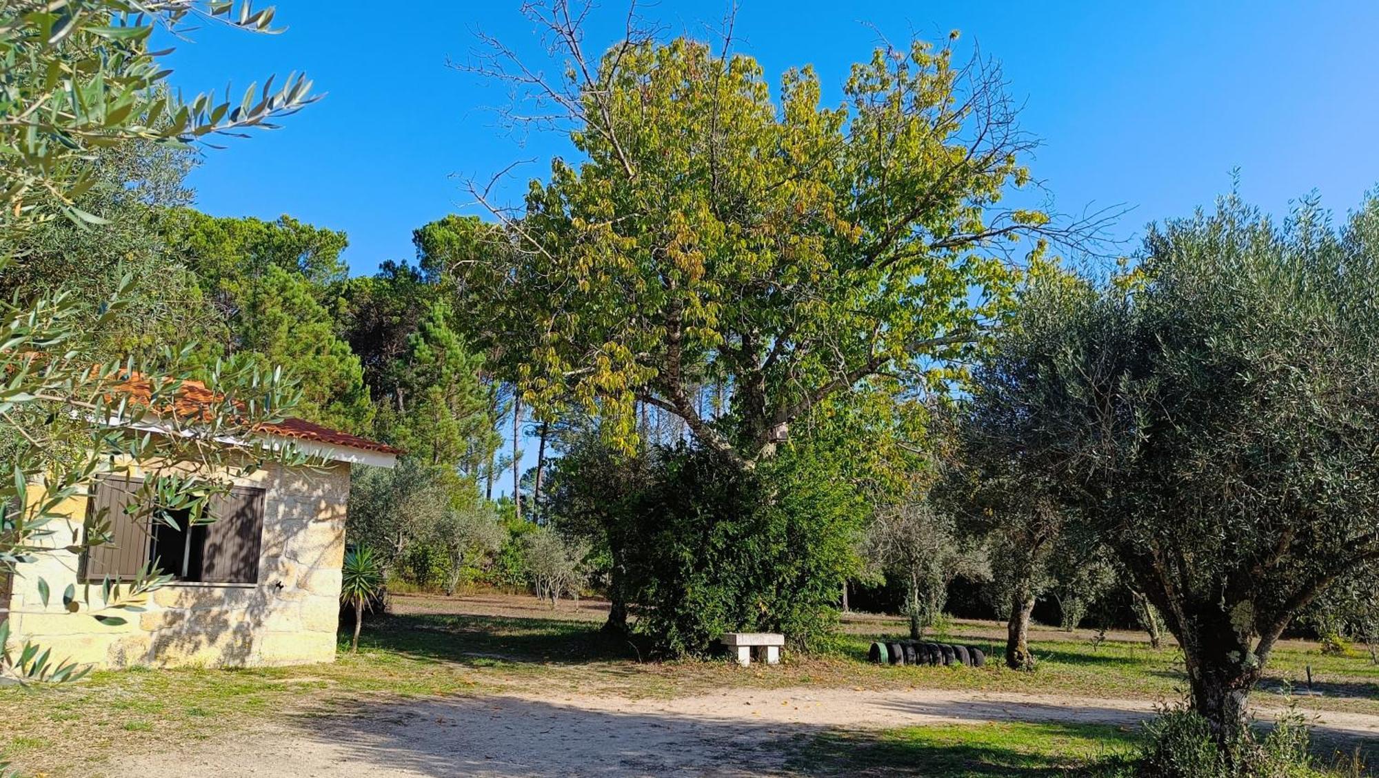 Quinta Da Pedra Mija Guest House Santar Eksteriør bilde