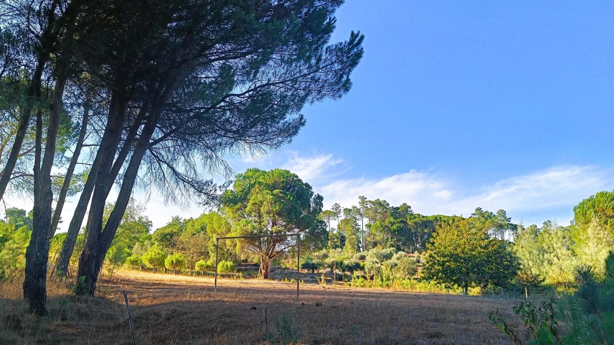 Quinta Da Pedra Mija Guest House Santar Eksteriør bilde