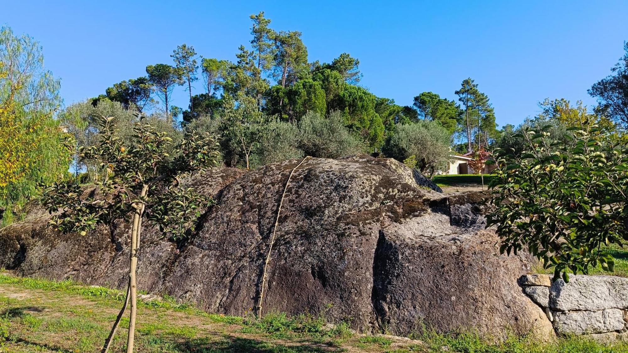 Quinta Da Pedra Mija Guest House Santar Eksteriør bilde