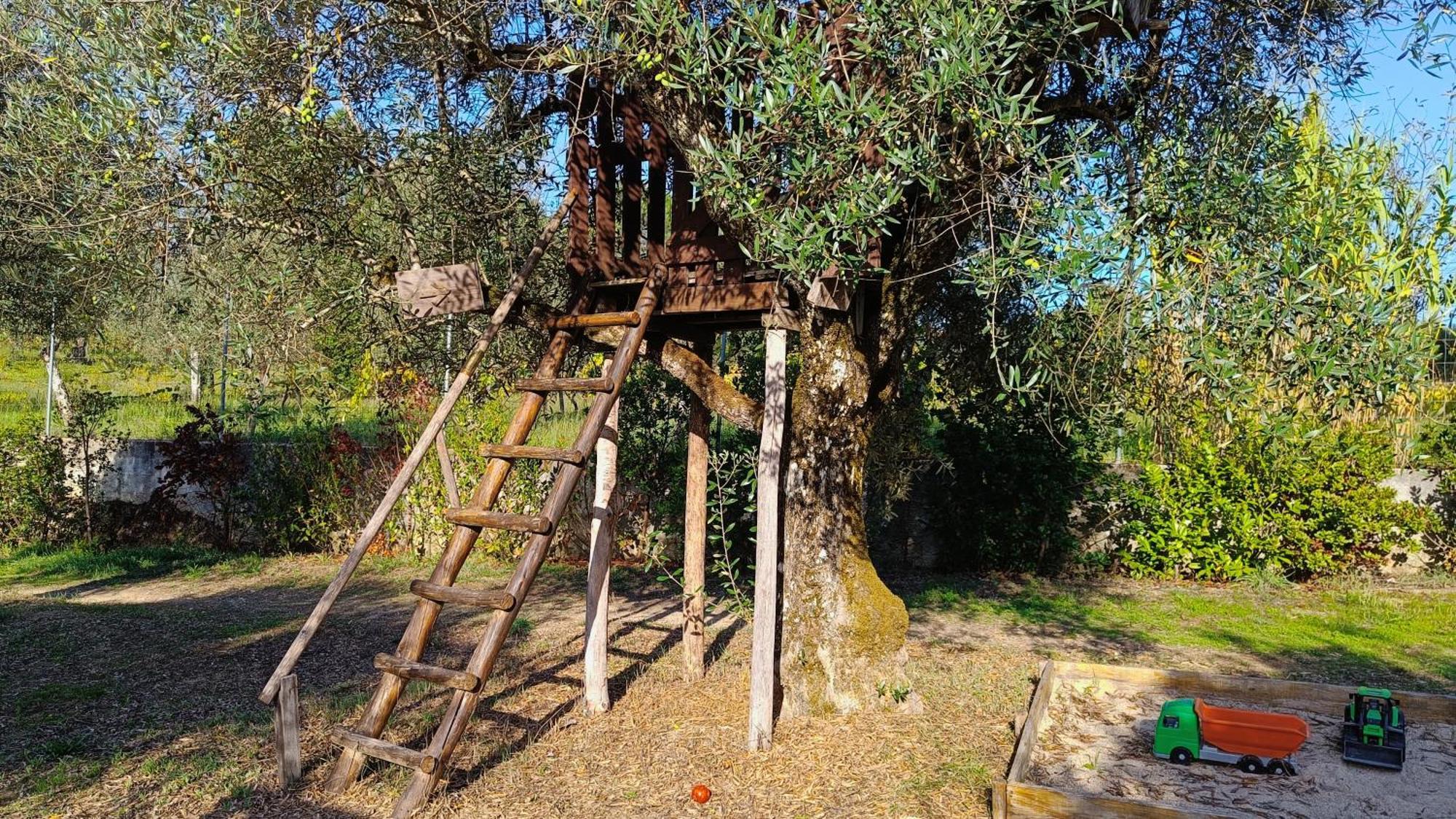 Quinta Da Pedra Mija Guest House Santar Eksteriør bilde