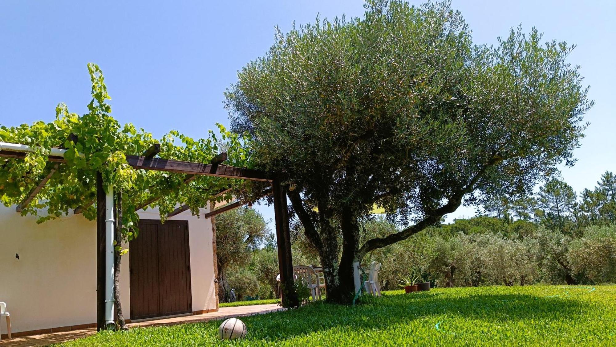 Quinta Da Pedra Mija Guest House Santar Eksteriør bilde