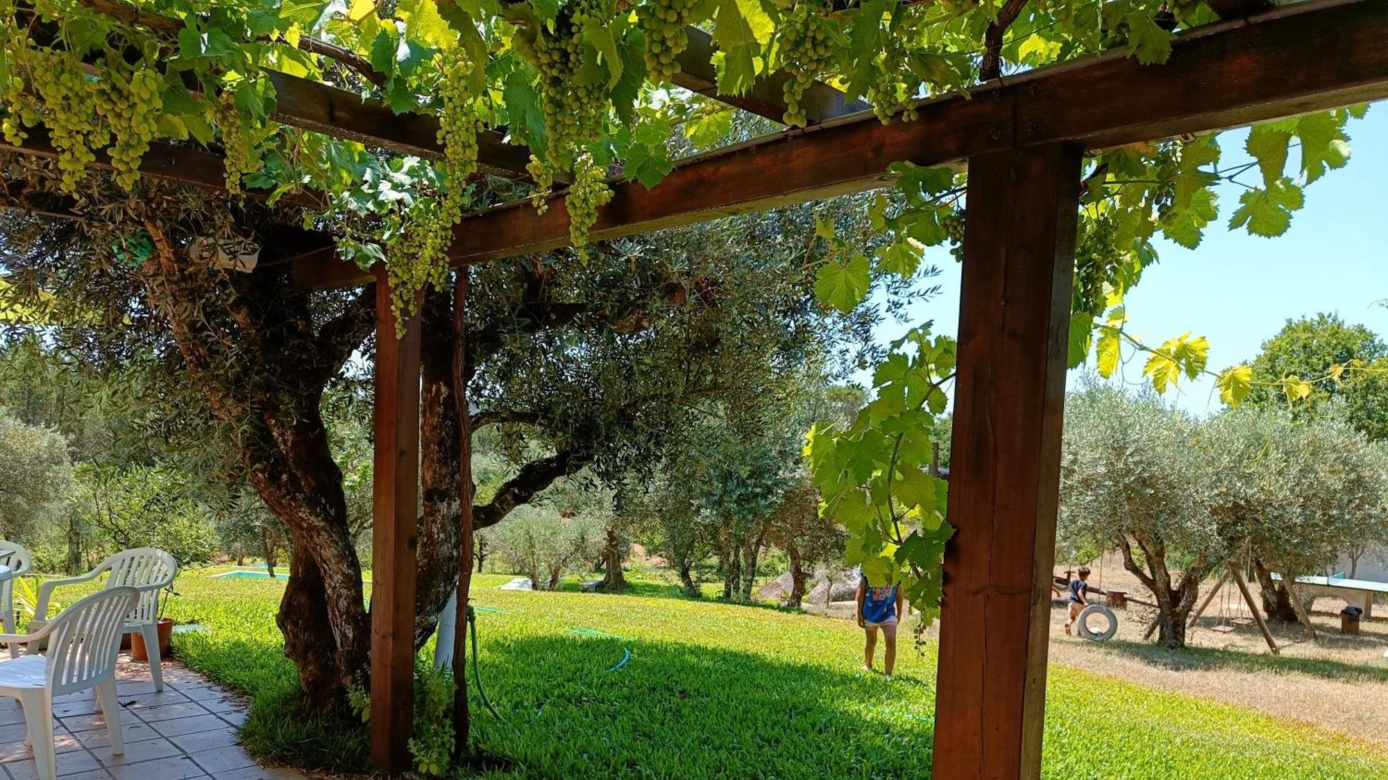 Quinta Da Pedra Mija Guest House Santar Eksteriør bilde