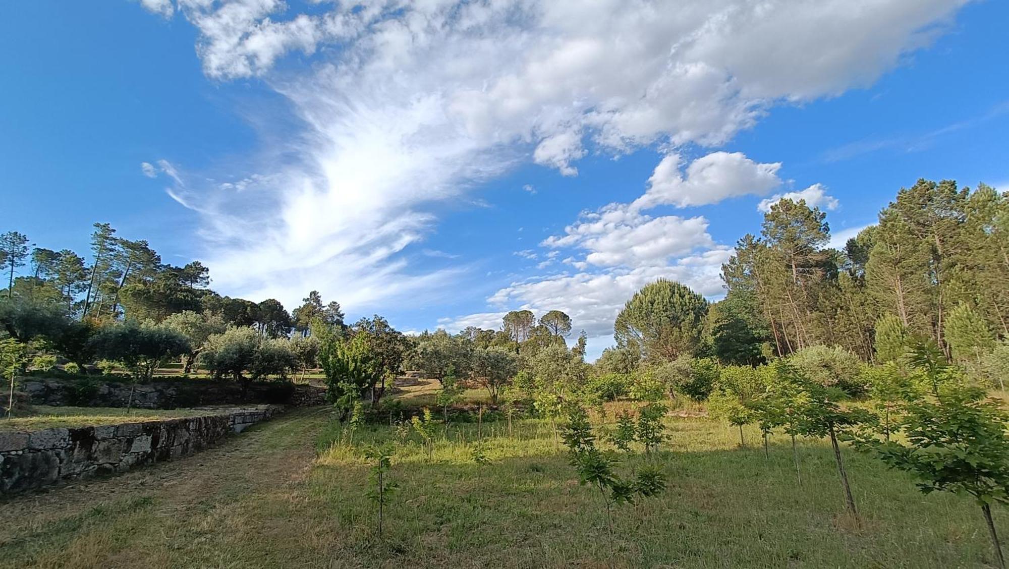 Quinta Da Pedra Mija Guest House Santar Eksteriør bilde