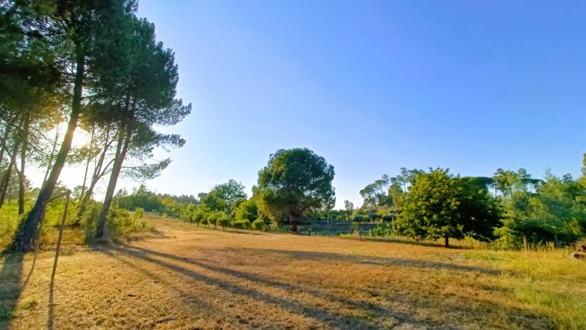 Quinta Da Pedra Mija Guest House Santar Eksteriør bilde