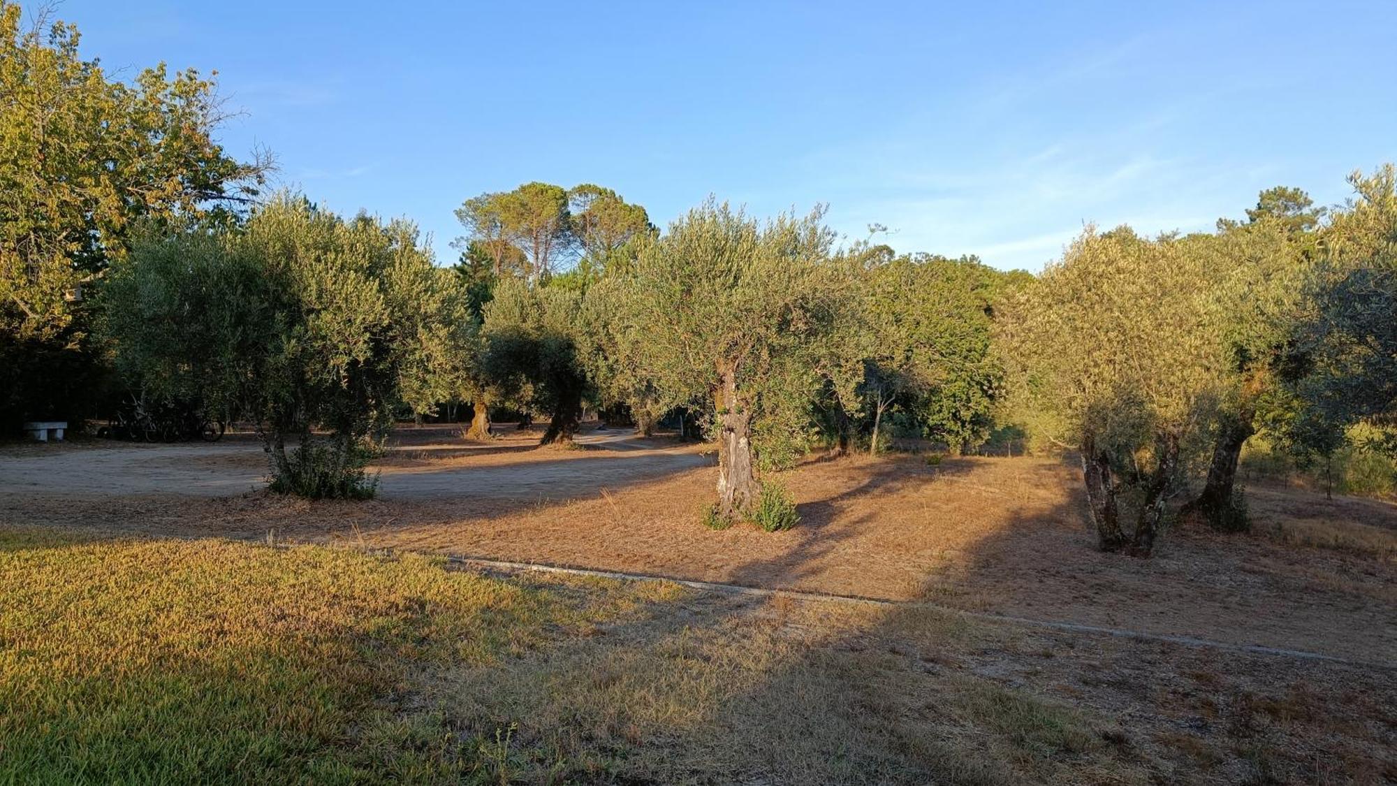Quinta Da Pedra Mija Guest House Santar Eksteriør bilde