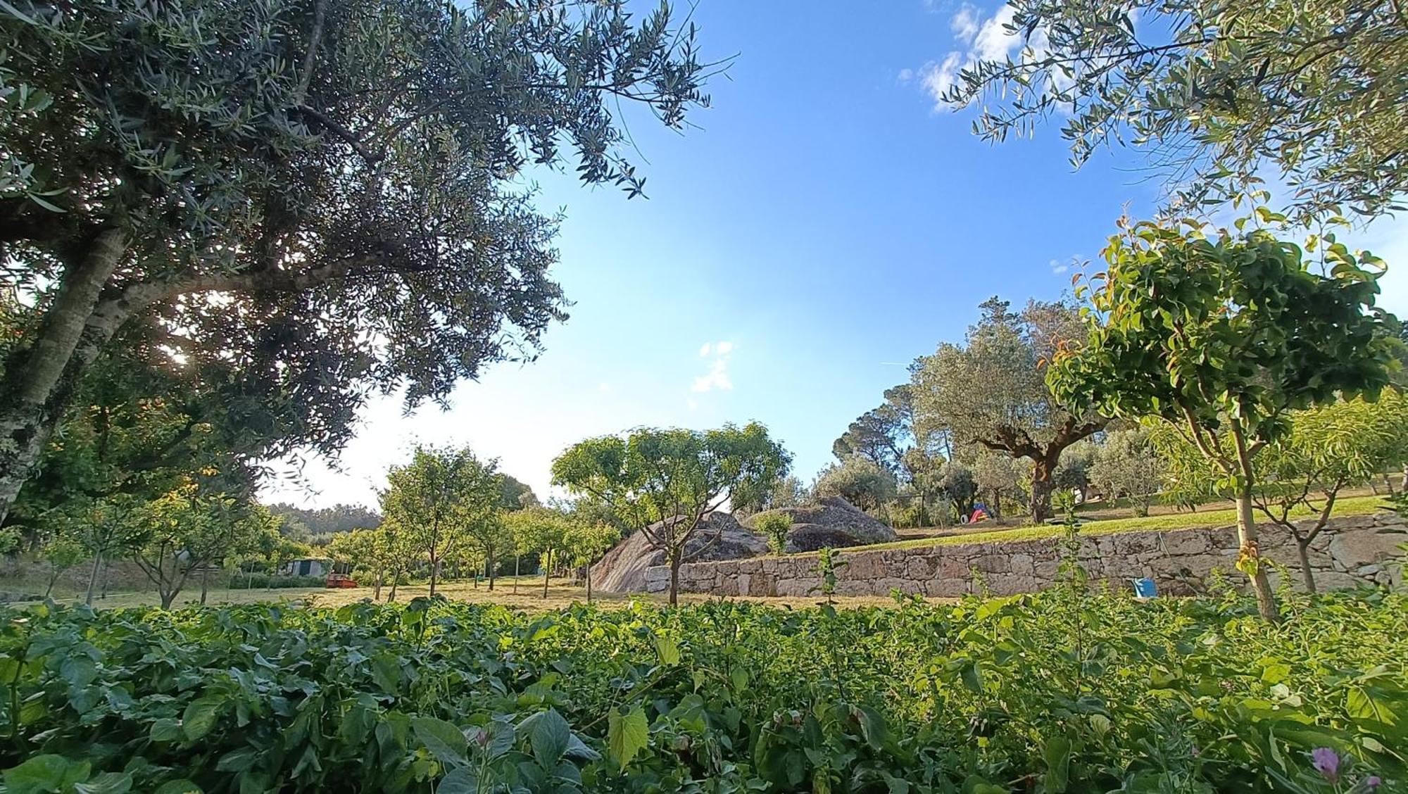 Quinta Da Pedra Mija Guest House Santar Eksteriør bilde