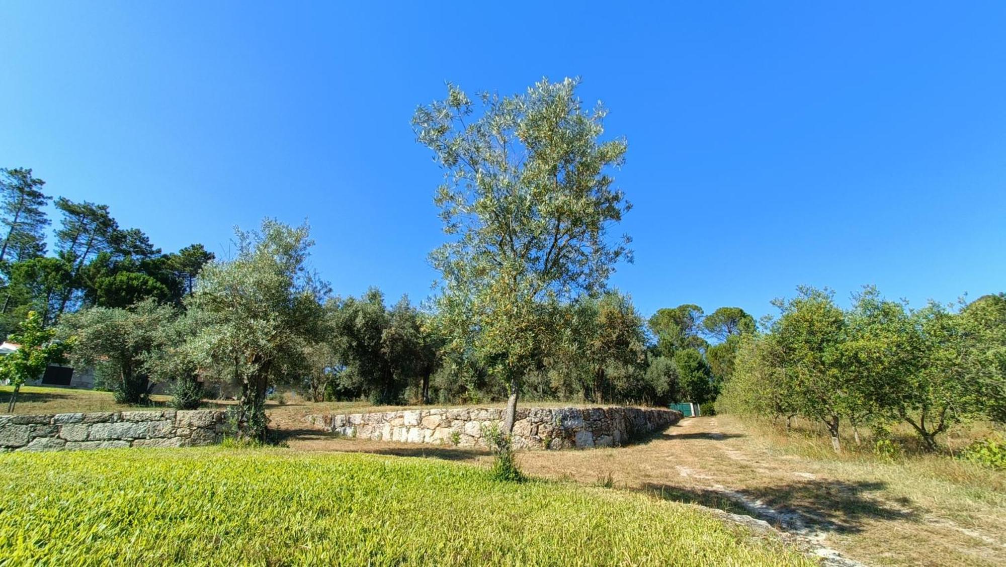Quinta Da Pedra Mija Guest House Santar Eksteriør bilde